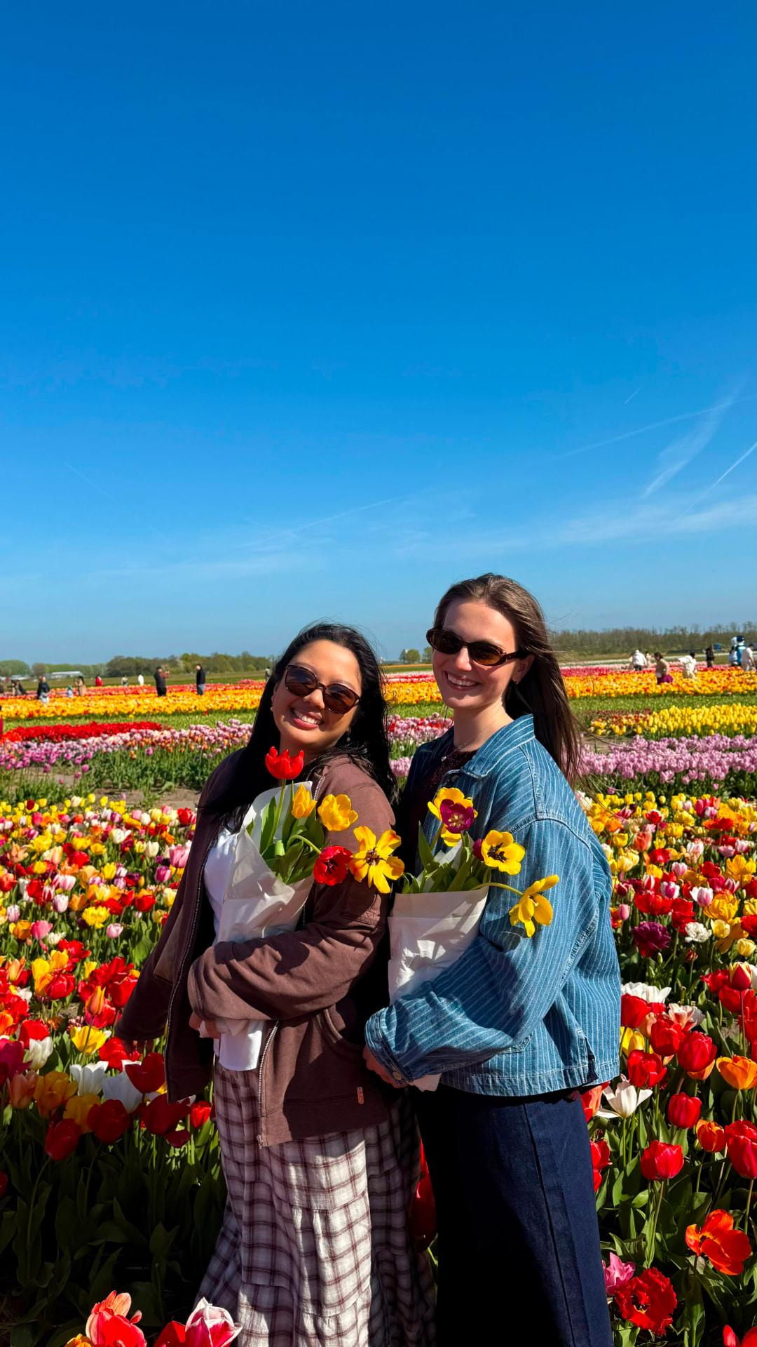 Two students in the tulip fields outside Rotterdam
